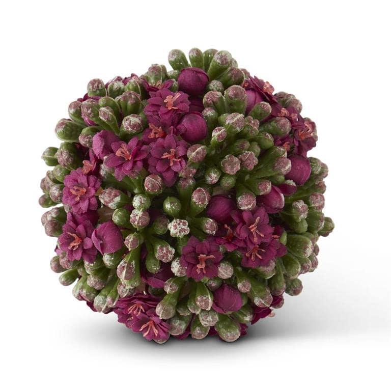 Purple Kalanchoe Ball
